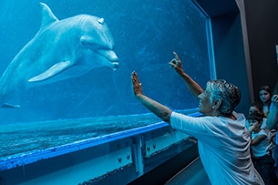 Acquario di Genova con i bambini