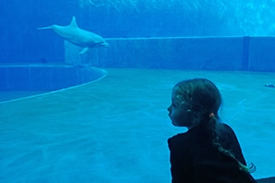 Acquario di Genova con i bambini