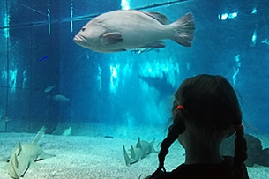 Acquario di Genova con i bambini