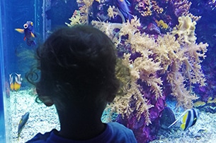 Acquario di Genova con i bambini