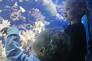 Acquario di Genova con i bambini