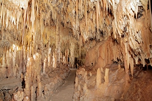 Attrazioni per bambini in Puglia, Grotte di Castellana