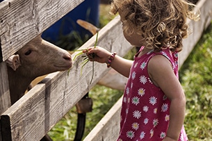 Trentino in primavera con i bambini, un giorno da contadino