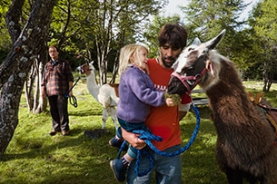 Trentino in primavera con i bambini, passeggiate con i lama