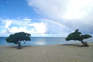 Vacanze ad Aruba in famiglia, arcobaleno