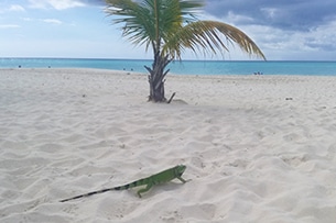 Vacanze ad Aruba in famiglia