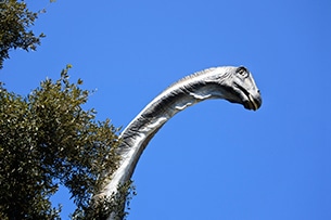 Mostra dinosauri a Fiumicino, Dinosauri in carne ed ossa