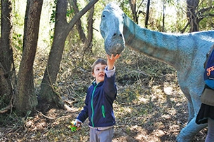 Mostra dinosauri a Fiumicino, Dinosauri in carne ed ossa