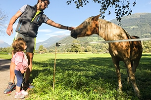 Vacanze ciclabile Drava per famiglie, gli animali