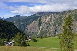 Passeggiate in montagna per bambini d'estate, Chamois 