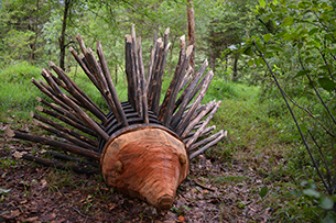 Passeggiate in montagna per bambini d'estate, Ledro Land Art