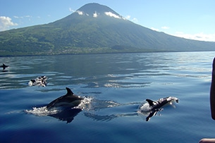 Viaggio in Portogallo con bambini, Azzorre