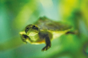 Acquario di Losanna con i bambini, foto sedrik nemeth