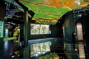 Acquario di Losanna con i bambini, foto sedrik nemeth