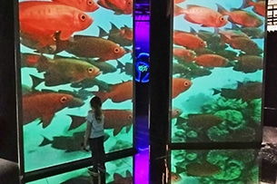 Acquario di Losanna con i bambini