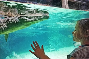 Acquario di Losanna con i bambini