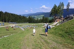 Val Pusteria cosa vedere con i bambini, laghetto del Baranci, San Candido