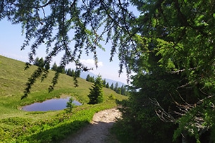 Bad Kleinkirchheim in famiglia, sentieri