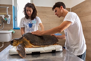 Centro recupero tartarughe marine di Brancaleone in Calabria