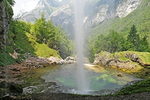 Forest Camp estate, cascate