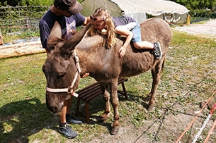 Forest Camp estate, fattoria didattica