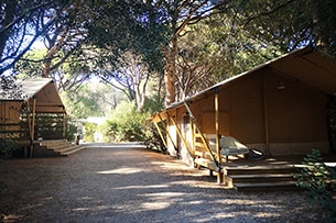 Castiglione della Pescaia con bambini, le tende glamping