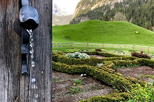 Svizzera, Trenino Verde delle Alpi coni bambini