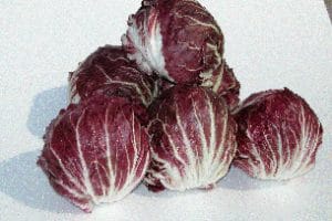 Valsugana in autunno con i bambini, festa del radicchio