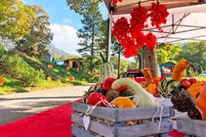 Valsugana in autunno con i bambini, festa della zucca a Pergine