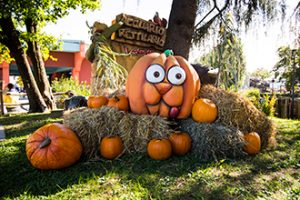 Halloween a Leolandia, le zucche