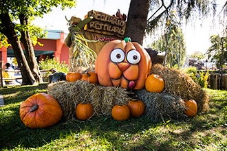 Halloween a Leolandia, le zucche