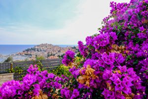 Riviera dei Fiori con i bambini, Imperia