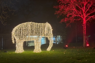 Wilhelma Christmas Garden