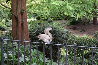 Londra low cost con bambini, Hyde Park