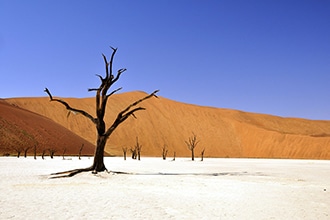Viaggio in Namibia con i bambini, il deserto più antico del mondo