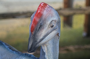 Parco dinosauri di Peccioli, in Toscana