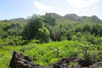 Tartarughe delle Seychelles, dove vederle con i bambini, l'escursione a Curieuse Island