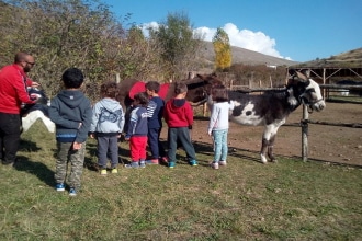 Gira e rigira Trekking Asini