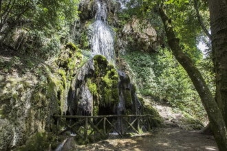 Giardini botanici in Italia - Parco Aymeric