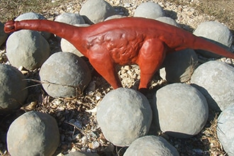 Dinosauri in Sardegna, percorso paleontologico Dinosardo, cucciolo di Argentinosaurus