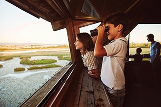 Friuli mare per bambini, birdwatching