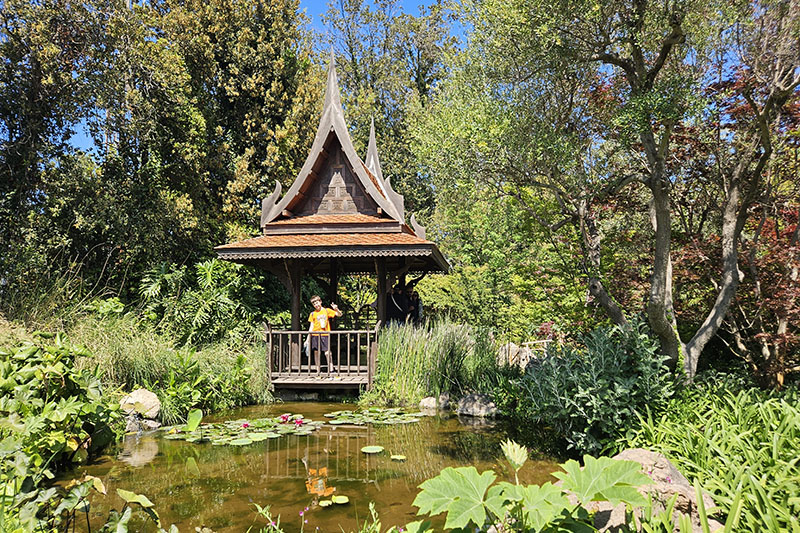 I Giardini La Mortella di Ischia con bambini, zona Thai
