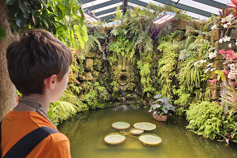 I Giardini La Mortella di Ischia con bambini