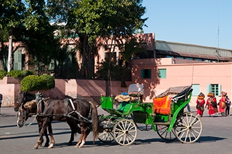 Marrakech con bambini, il calesse