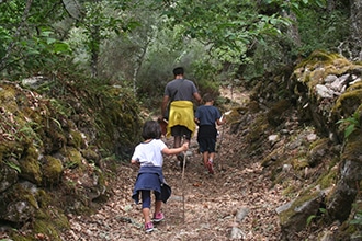 Galizia con bambini, sentiero dei castagni