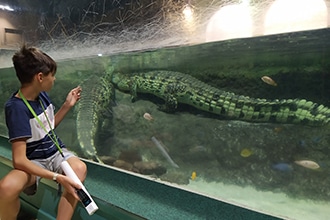 Cosa vedere a Saragozza con i bambini, Museo Fluviale