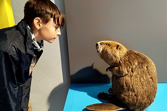 Danubio in bicicletta con bambini, House of Nature, Beuron