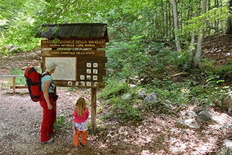 Forest bathing, Abruzzo, Majella, Riserva Lama Bianca