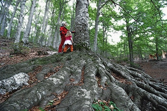 Forest bathing, Abruzzo, Majella, Riserva Lama Bianca