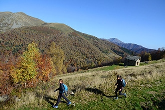 Forest Bathing, Piemonte, Oasi Zegna, Bosco del Sorriso